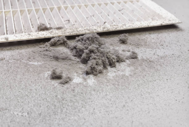 Best Dryer Vent Cleaning Services  in Hammond, WI
