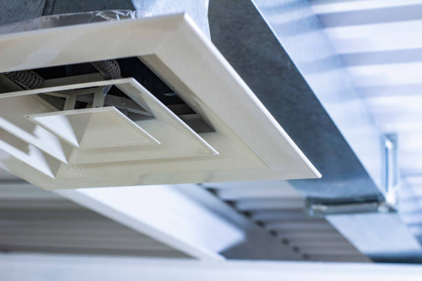 Best Professional Duct Cleaning Services  in Hammond, WI