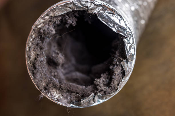 Best Affordable HVAC Duct Cleaning  in Hammond, WI