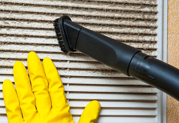 Best Emergency Air Duct Cleaning  in Hammond, WI